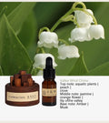 Luxury Home Fragrance Diffuser